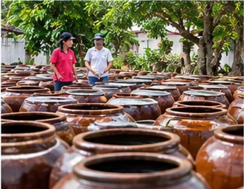 Đội ngũ Tammari Mộc Đức tại sân phơi lu